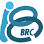 Bioresearch_Center_logo_02_44x44
