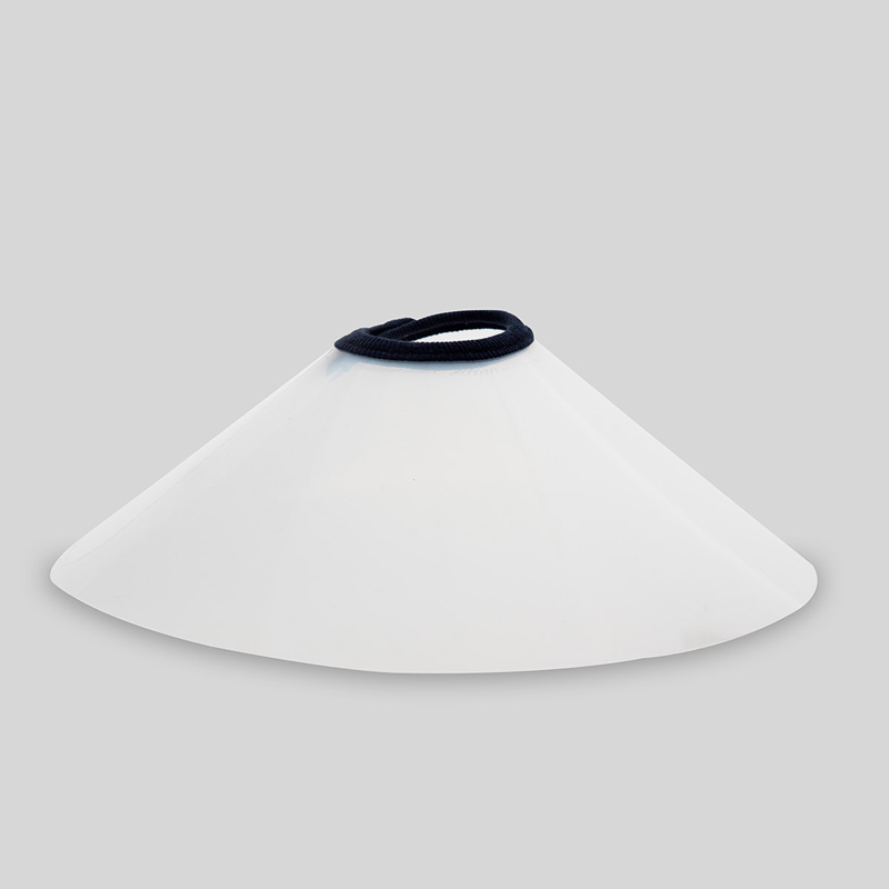 Elizabethan Collars Lomir Biomedical Inc.