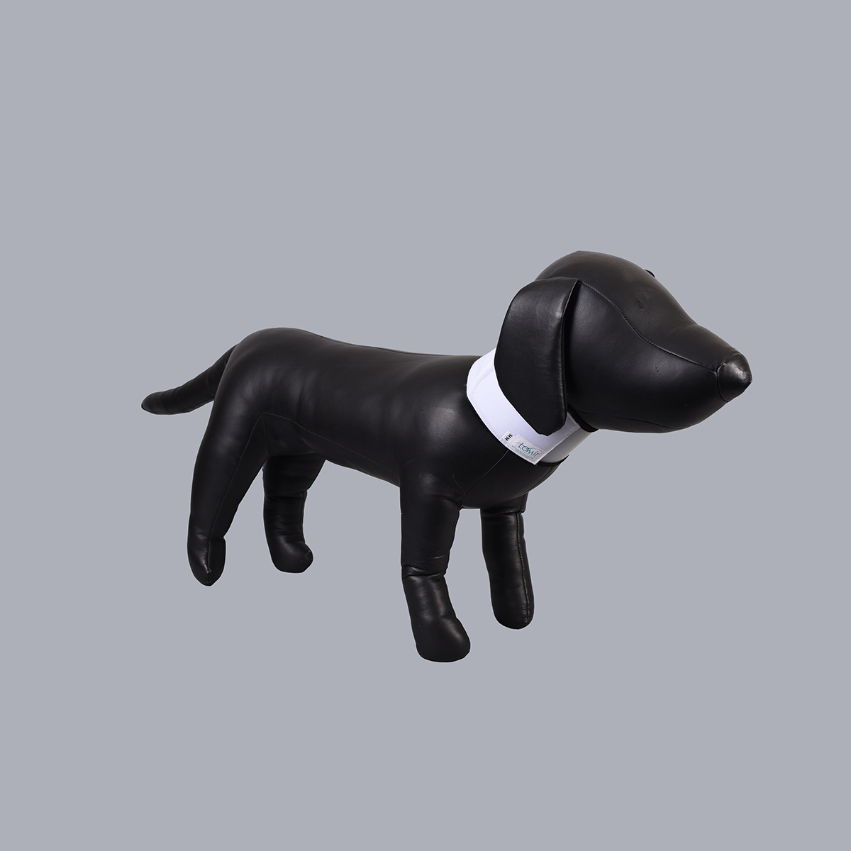 Dog Cervical Collar (DC 01)